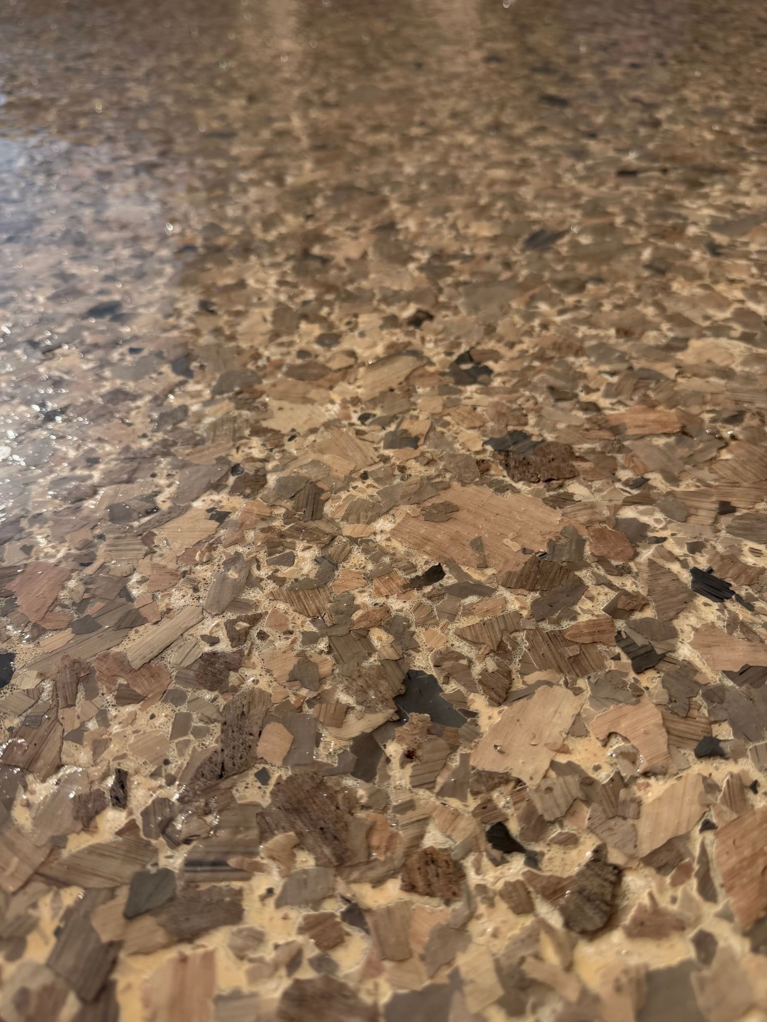 Close-up of tan and brown flake under the new topcoat
